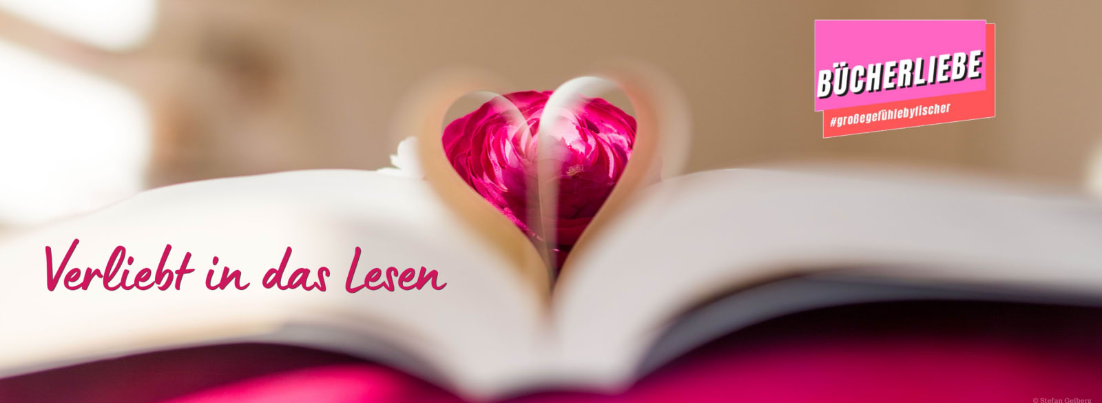 Abbildung mit Buch und Rose