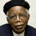 Portrait von Chinua Achebe