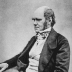 Portrait von Charles Darwin