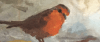 Schulz_Banner Hintergrund