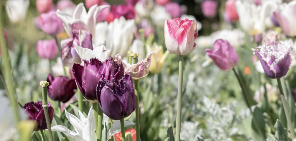 Hörbücher für den Frühling und für Ostern