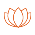 Lotus Blume