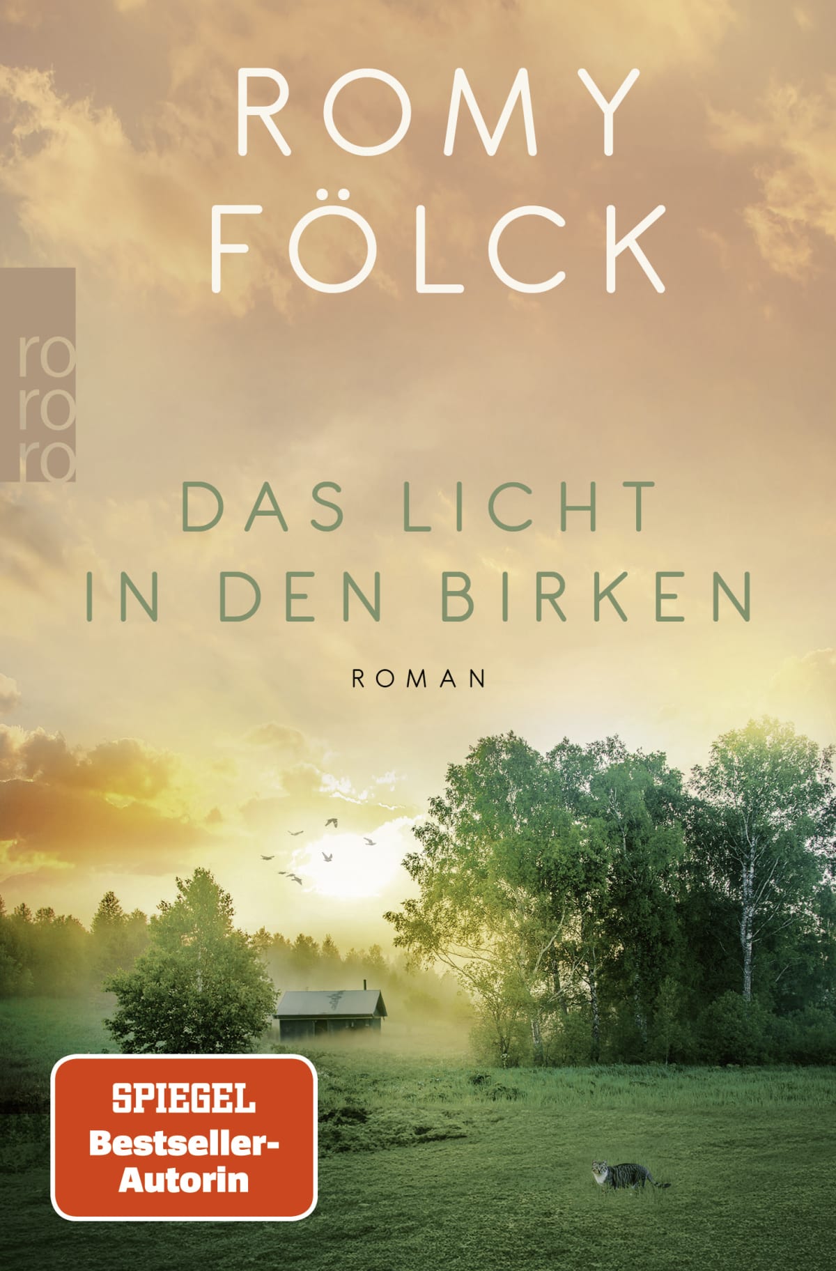 Das Licht In Den Birken
