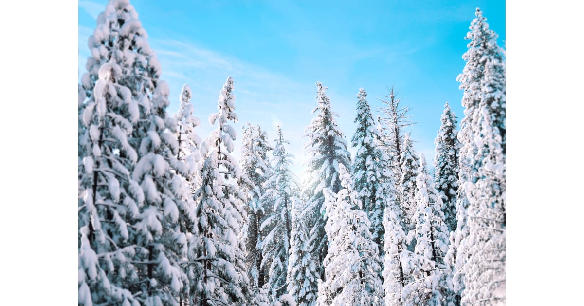Schneegestöber Sprüche & Zitate zum funkelnden Weiß Geschenkverlage