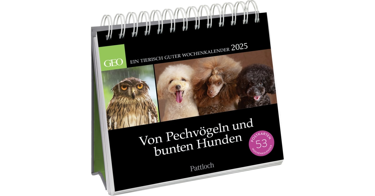 Postkartenkalender 2025: Von Pechvögeln und bunten Hunden - GEO  Geschenkverlage