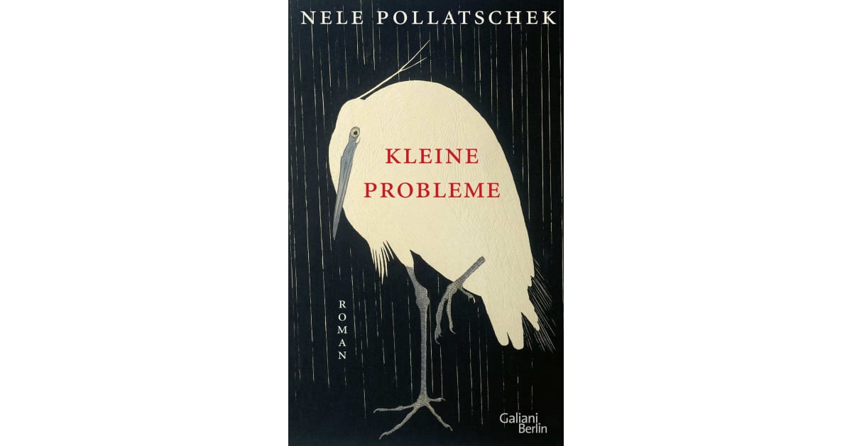 Kleine Probleme - Nele Pollatschek