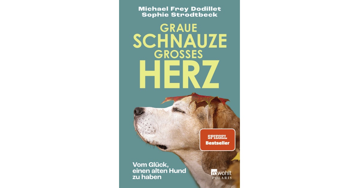 Graue Schnauze, großes Herz Michael Frey Dodillet, Sophie Strodtbeck