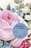 Buchcover von Die alltägliche Physik des Unglücks: Roman von Marisha Pessl
