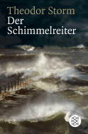 Buchcover von Der Schimmelreiter: Novelle von Theodor Storm