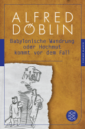 Buchcover von Babylonische Wandrung oder Hochmut kommt vor dem Fall von Alfred Döblin