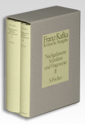 Nachgelassene Schriften und Fragmente II