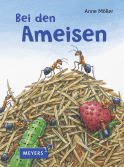 Bei den Ameisen