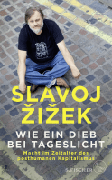 Buchcover von Wie ein Dieb bei Tageslicht: Macht im Zeitalter des posthumanen Kapitalismus von Slavoj Žižek