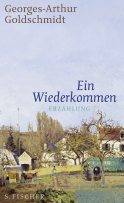 Buchcover von Ein Wiederkommen: Erzählung von Georges-Arthur Goldschmidt