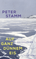 Buchcover von Auf ganz dünnem Eis: Erzählungen von Peter Stamm