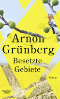 Buchcover von Besetzte Gebiete: Roman von Arnon Grünberg