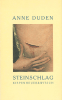 Buchcover von Steinschlag von Anne Duden