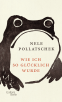 Buchcover von Wie ich so glücklich wurde von Nele Pollatschek