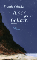 Buchcover von Amor gegen Goliath: Roman von Frank Schulz