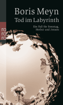 Buchcover von Tod im Labyrinth von Boris Meyn