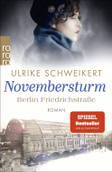 Buchcover von Berlin Friedrichstraße: Novembersturm von Ulrike Schweikert