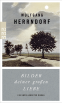 Buchcover von Bilder deiner großen Liebe: Ein unvollendeter Roman von Wolfgang Herrndorf