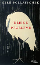 Kleine Probleme