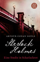 Rangliste der besten Sherlock holmes buch