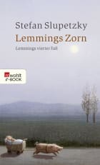 Lemmings Zorn: Lemmings vierter Fall