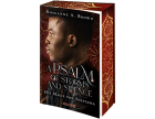 Roseanne A. Brown: A Psalm of Storms and Silence. Die Magie von Solstasia