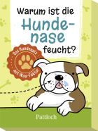 Warum ist die Hundenase feucht? 