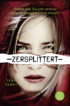 Zersplittert