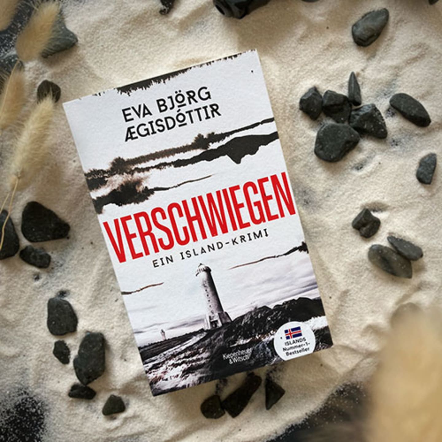Foto vom Buch "Verschwiegen"