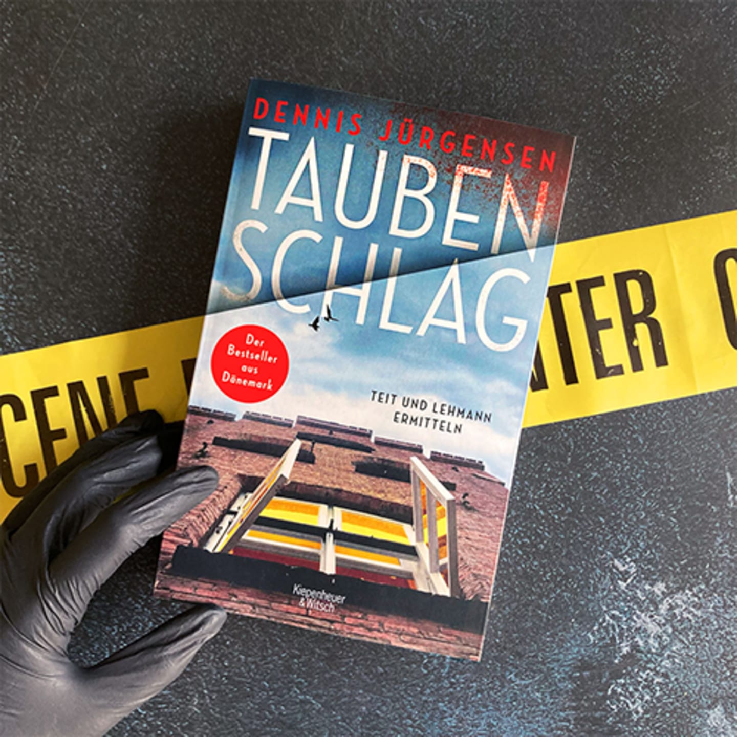 Foto vom Buch Taubenschlag