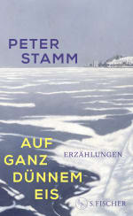Bild: Lesung und Gespräch von Aus dem Zug rieselte noch Sand, als ich ausstieg: Lesung und Gespräch mit Peter Stamm und Nina Kunzendorf