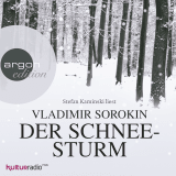 Hörbuchcover von Der Schneesturm von Andreas Tretner
