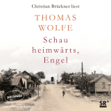 Hörbuchcover von Schau heimwärts, Engel von Irma Wehrli