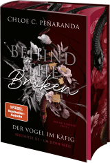 Buchcover von Behind the Broken. Der Vogel im Käfig: Beschütze sie – um jeden Preis von Maria Schmidt