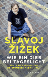 Buchcover von Wie ein Dieb bei Tageslicht: Macht im Zeitalter des posthumanen Kapitalismus von Karen Genschow