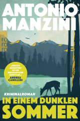 Buchcover von In einem dunklen Sommer von Antonio Manzini