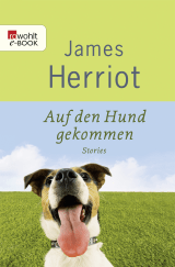 Auf den Hund gekommen