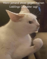 6. Instagram-Bild