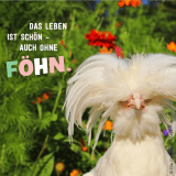 4. Instagram-Bild