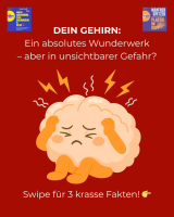 1. Instagram-Bild