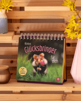 2. Instagram-Bild