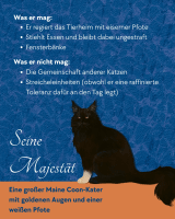 1. Instagram-Bild