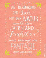 1. Instagram-Bild