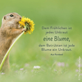 1. Instagram-Bild