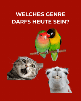 1. Instagram-Bild
