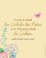 1. Instagram-Bild